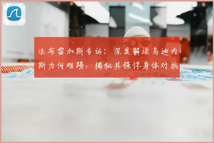 法布雷加斯专访：深度解读乌迪内斯为何难踢，揭秘其强悍身体对抗与欣赏的意大利球星