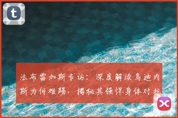 法布雷加斯专访：深度解读乌迪内斯为何难踢，揭秘其强悍身体对抗与欣赏的意大利球星